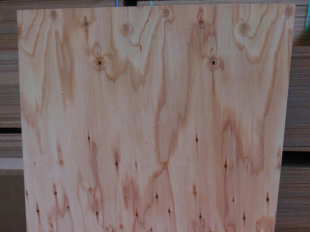 針葉樹構造用合板｜針葉樹 角材・板材・合板｜材木・木材・木工素材の